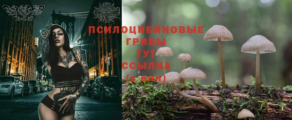 ешки Новозыбков