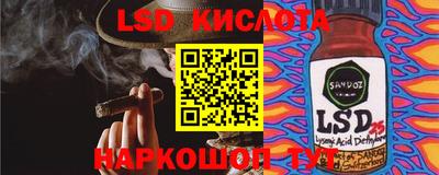 прущие грибы Ирбит