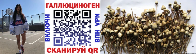 Галлюциногенные грибы GOLDEN TEACHER  магазин    Пермь 