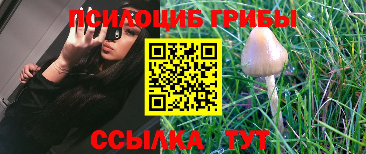 Псилоцибиновые грибы Magic Shrooms Пермь
