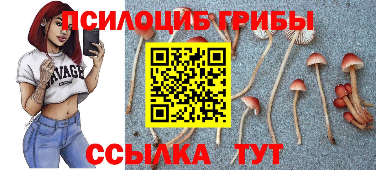 Псилоцибиновые грибы GOLDEN TEACHER  где найти наркотики  Пермь  Вход с VPN 